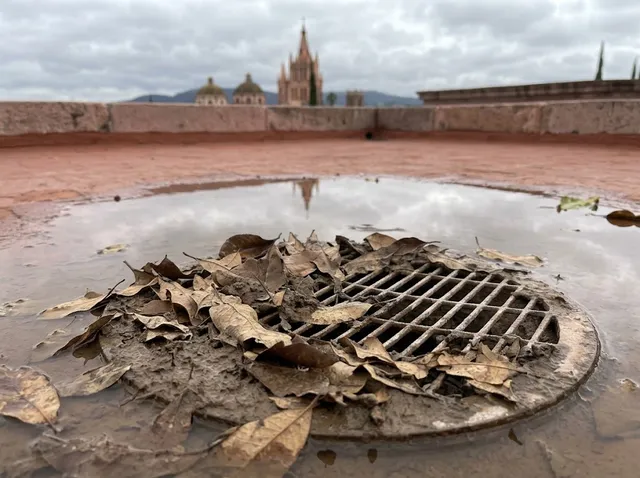 Coladera de la azotea cubierta de hojas secas y lodo, con agua estancada alrededor