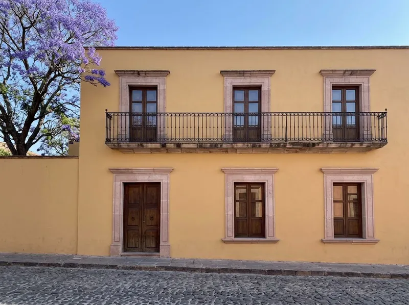 Fachada de una casa colonial de dos niveles en San Miguel de Allende, muro ocre, marcos de cantera rosa y una jacaranda en flor