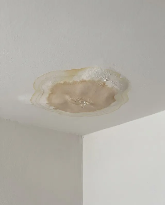 Techo blanco con una mancha de humedad café, el halo amarillento y una gota a punto de caer